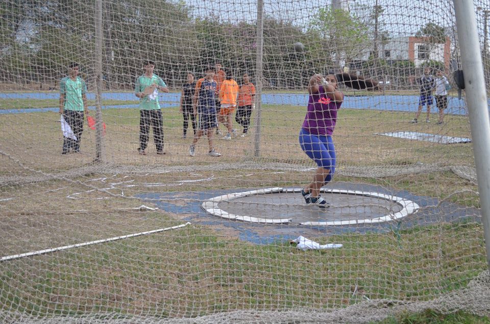 María del Pilar Piccardo (Martillo)